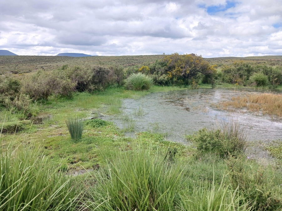 0 Bedroom Property for Sale in Richmond Rural Northern Cape